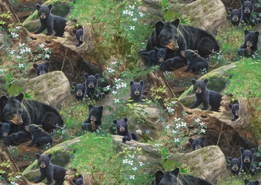 Elizabeth Studio - Tender Moments - Black Bears, Green