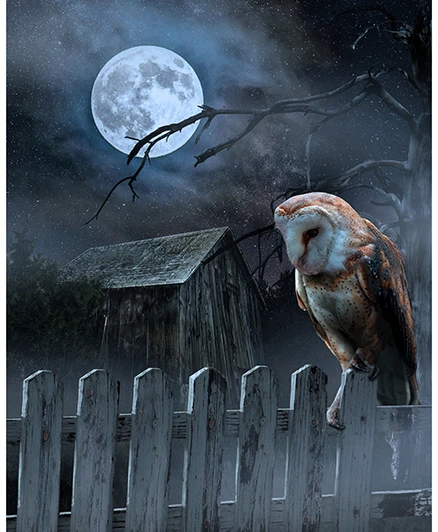 Hoffman California - Moodshade Watch - 34.5" x 43" Moonstruck Panel