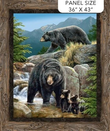 Northcott - Northwood: Naturescapes Bear - 36" Black Bear Panel, Brown