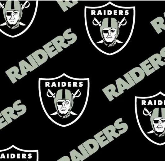 Fabric Traditions - NFL - 45" Las Vegas Raiders, Gray/Black