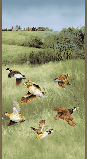 Andover - Quail - 24" Quail In Flight Panel, Multi