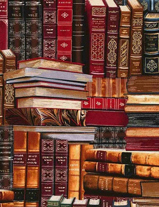 Timeless Treasures - Library - Books on Shelf, Multi