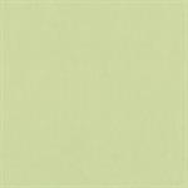 Robert Kaufman - Kona Cotton, Eucalyptus