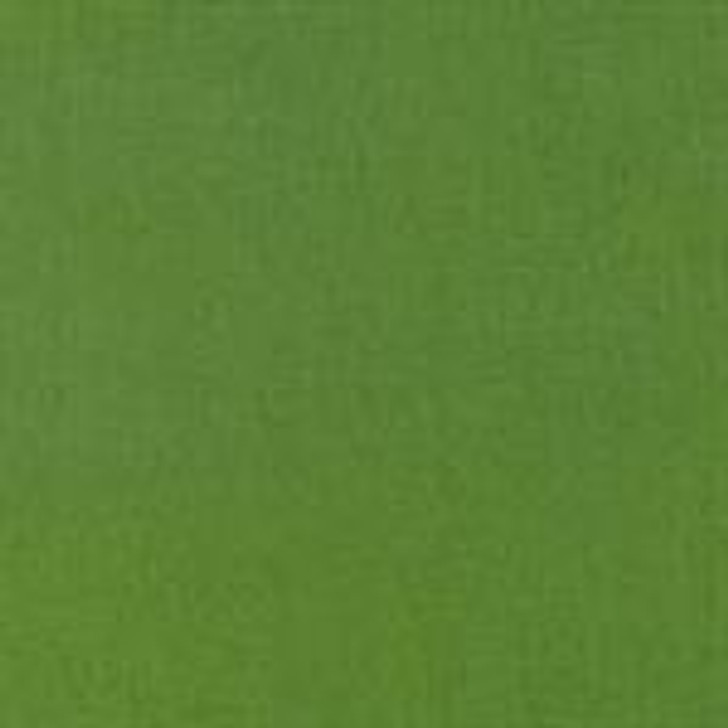 Robert Kaufman - Kona Cotton, Grass Green