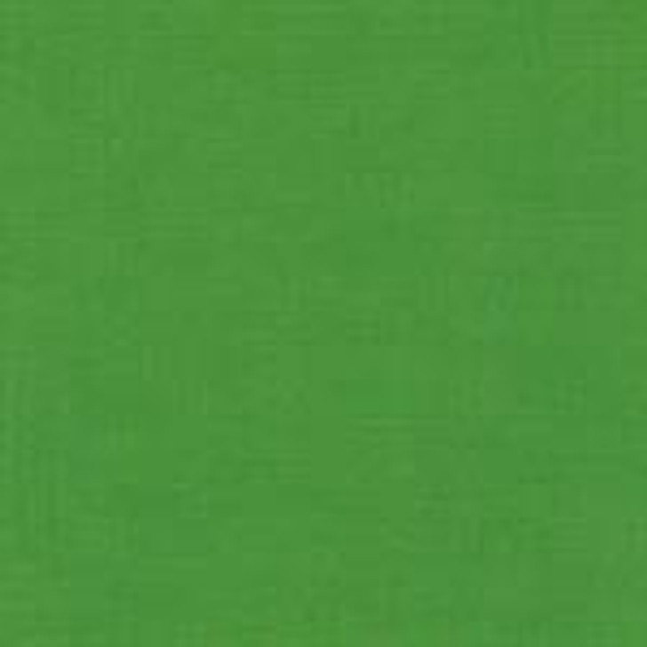 Robert Kaufman - Kona Cotton, Grasshopper