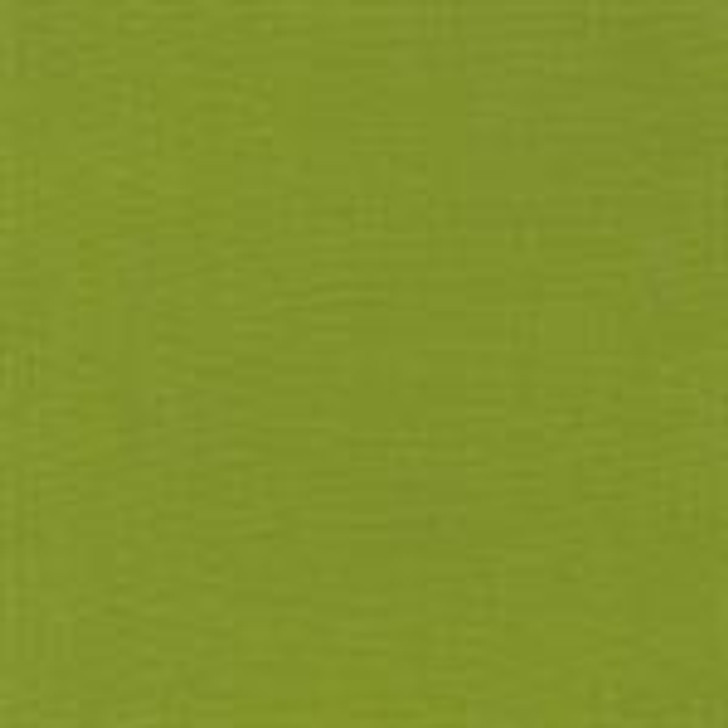 Robert Kaufman - Kona Cotton, Gecko