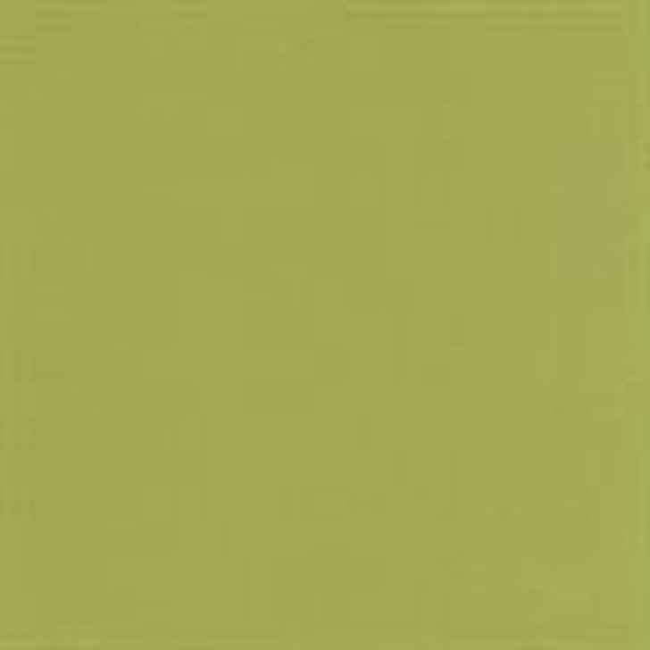 Robert Kaufman - Kona Cotton, Olive