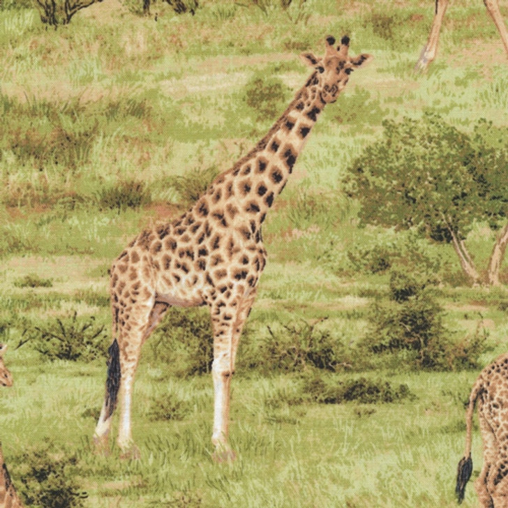 Fabri-Quilt - Born Free - Giraffes, Multi