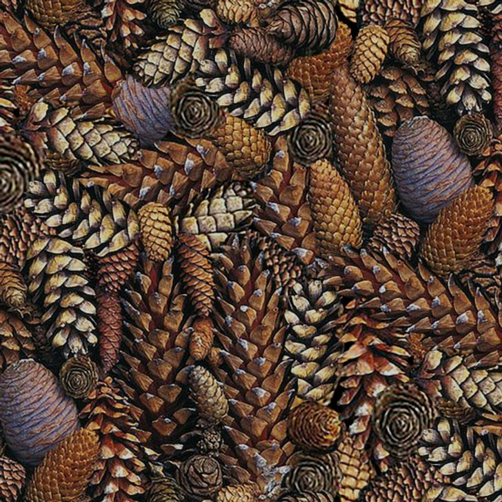 Blank Quilting - Natural Treasures II - Pinecones, Brown