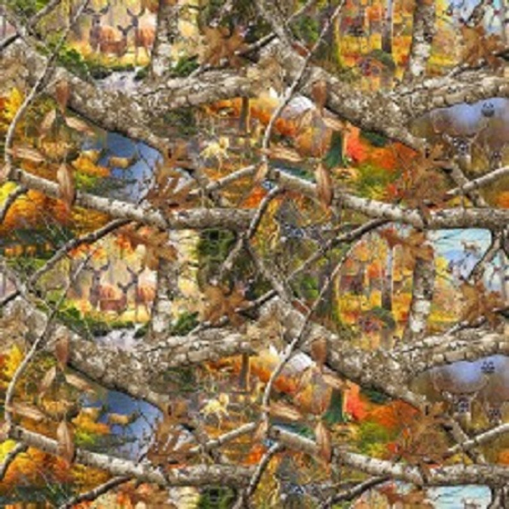 Print Concepts - Real Tree - Real Tree Blaze - Animal Scenic, Camo