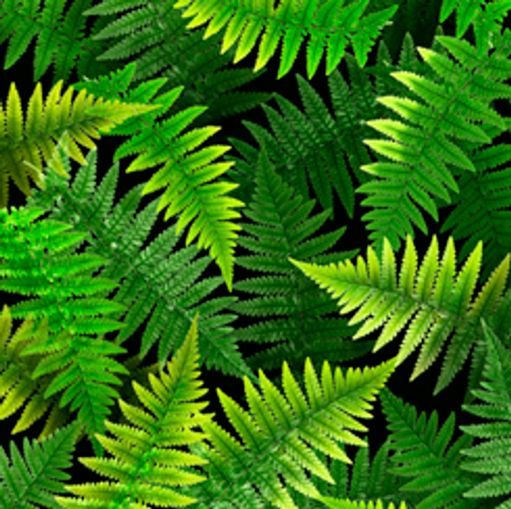 Quilting Treasures - Open Air - Ferns, Spring Green