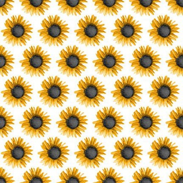 Blank Quilting - Show Me The Honey - Sunflowers, White