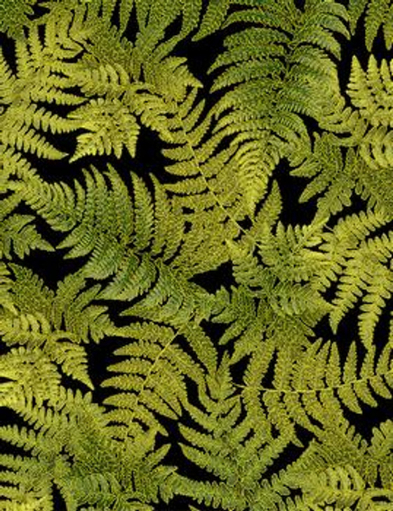 Timeless Treasures - Harvest - Tossed Metallic Fern Leaves, Black