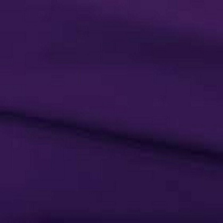 Spechler Vogel - 60" Imperial Broadcloth, Purple