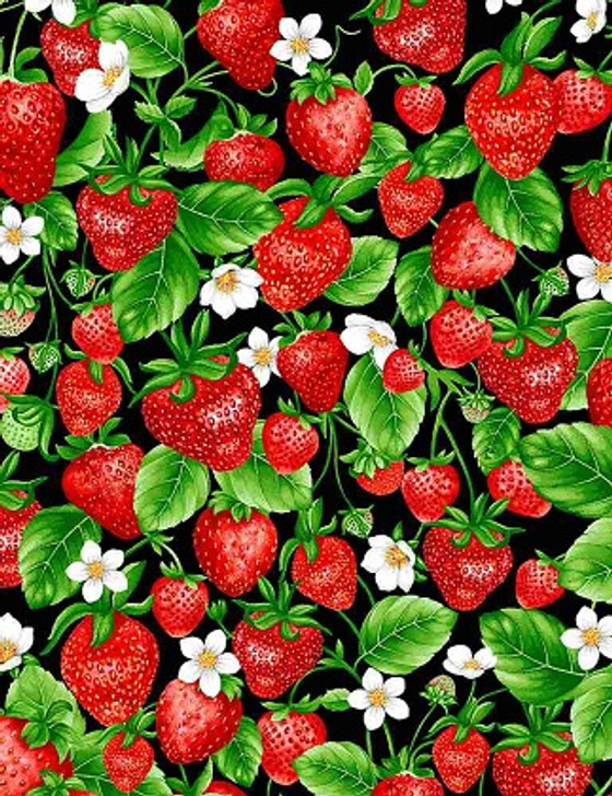 Timeless Treasures - Strawberry Fields - (Fruit) - Berries & Blooms, Black