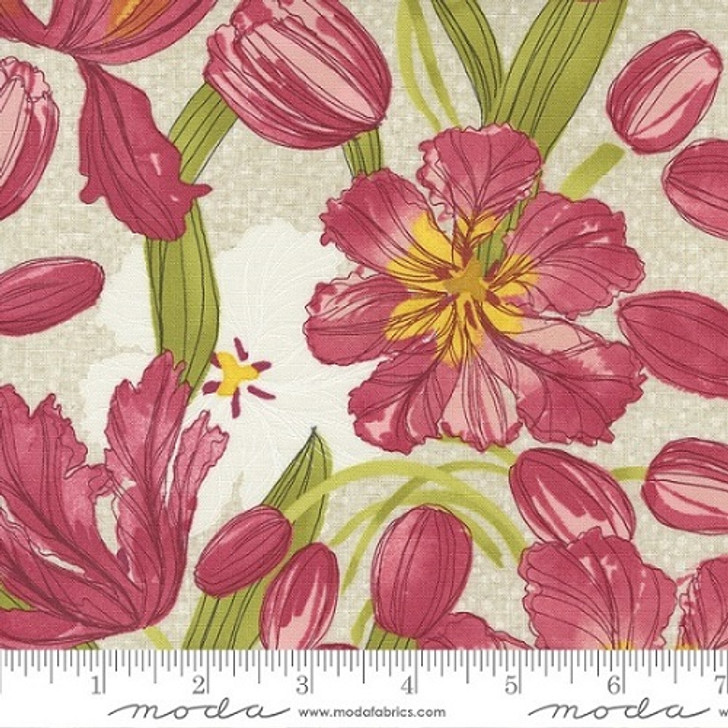 Moda - Tulip Tango - Large Floral, Cream