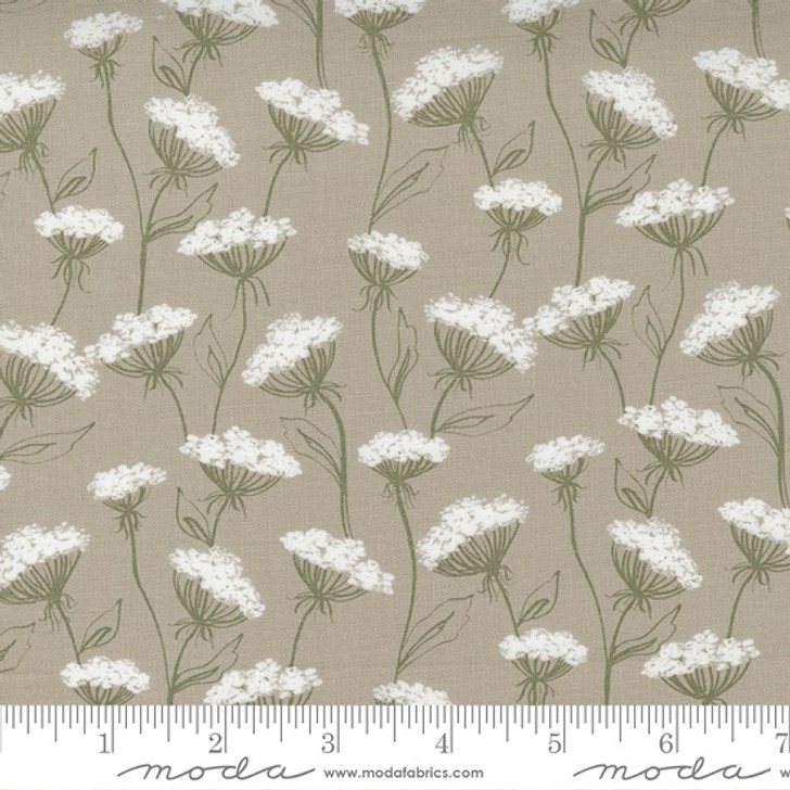 Moda - Flower Pot - Queen Anne's Lace, Taupe