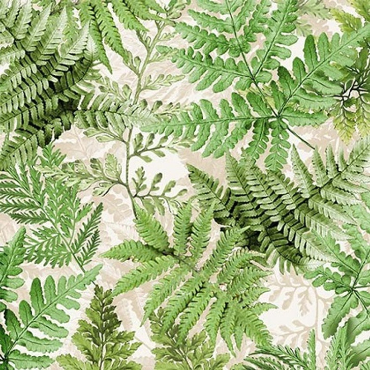 Michael Miller - Floral Fantasy - Fern Frolic, Sage