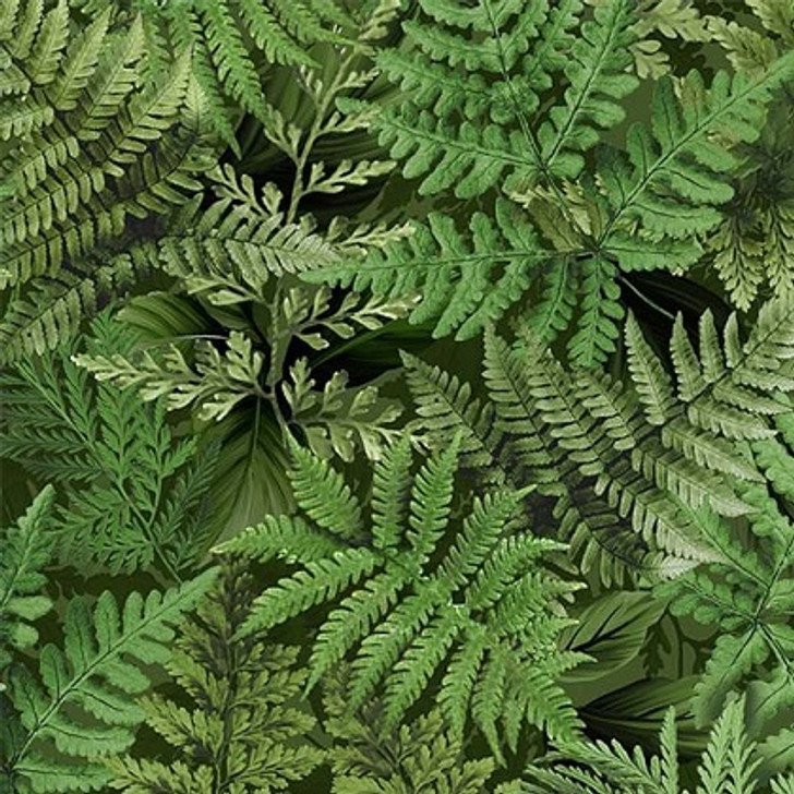 Michael Miller - Floral Fantasy - Fern Frolic, Evergreen