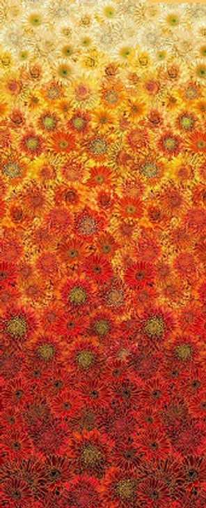 Timeless Treasures - Fall is in The Air - Ombre Mums Running Yardage, Autumn