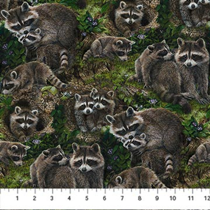Northcott - Naturescapes - Little Rascals Racoons, Brown