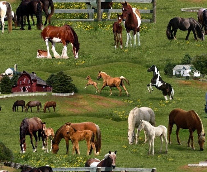 Elizabeth Studio - Farm Animals - Horses on Grass, Green