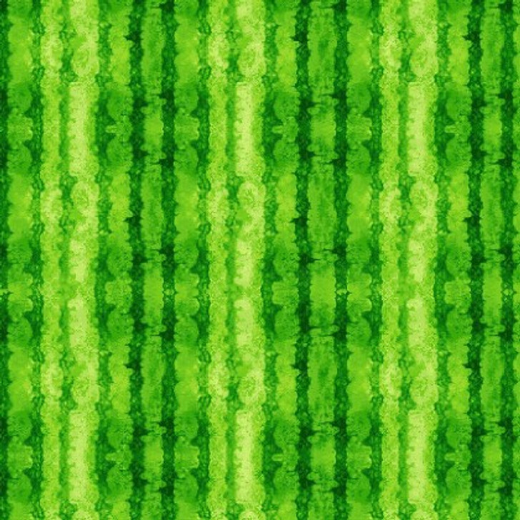 Timeless Treasures - Watermelon Party - Stripes Texture, Green