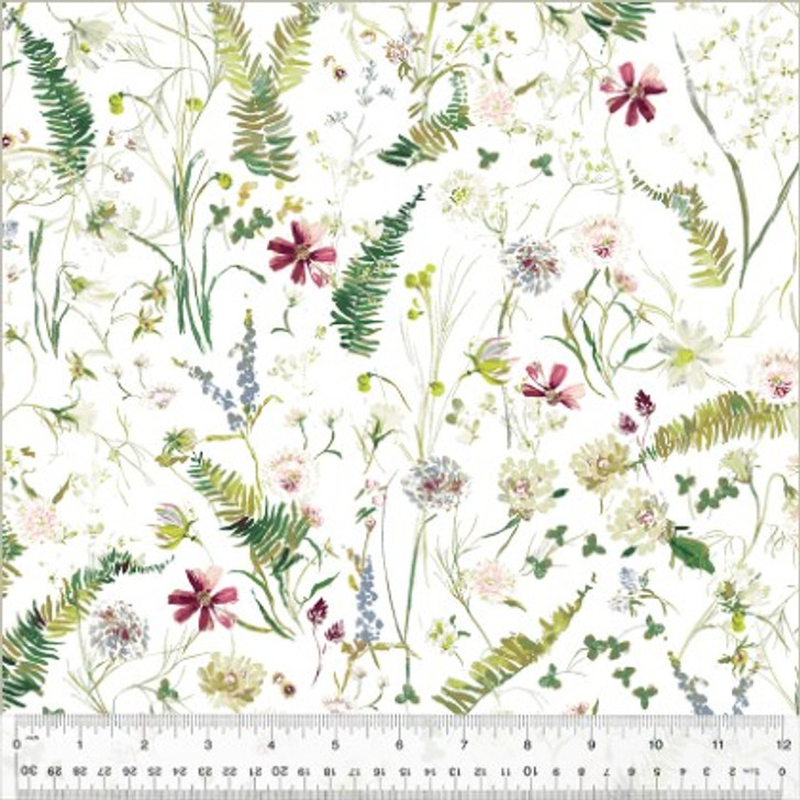 Windham - Perennial - Flowerfield, Ivory