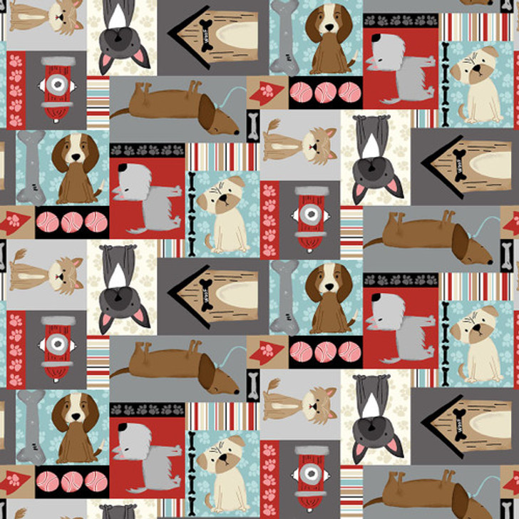 Studio E - Paw-sitively Awesome - Dog's Patchwork, Multi
