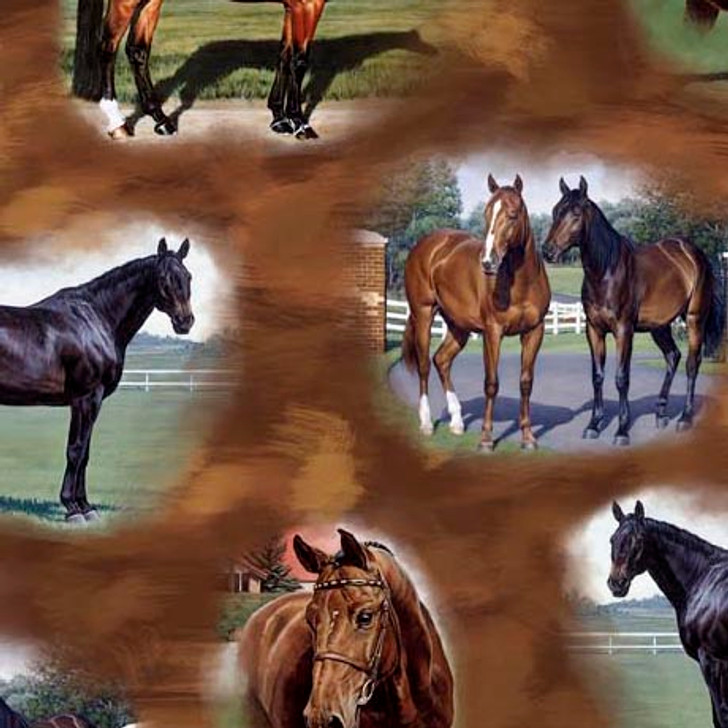 Quilting Treasures - Horse Country - Horse Vignettes, Brown