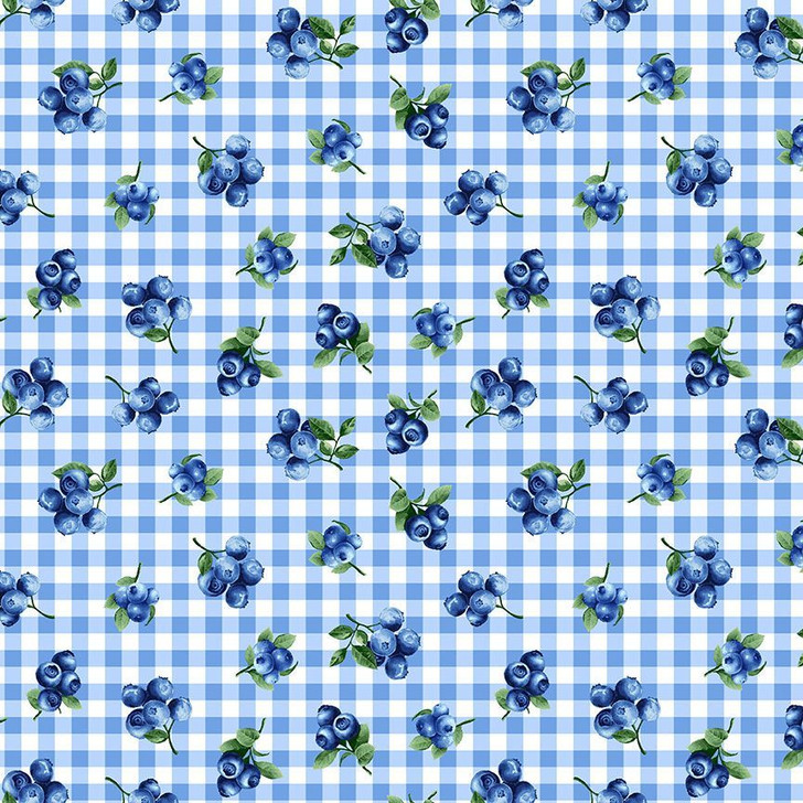 Timeless Treasures - Fruit - Blueberries Gingham, Sky