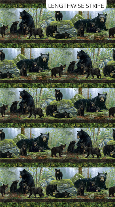 Northcott - Bear's Den - Border Stripe, Black