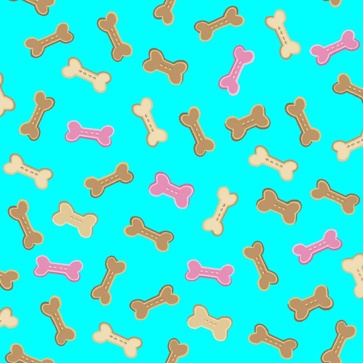 Freckle + Lollie - Little Darlings - Papmpered Paws, Aqua