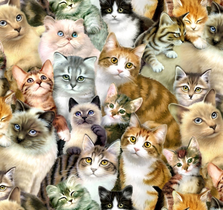 Elizabeth Studio - Petpourri - Packed Cats, Multi