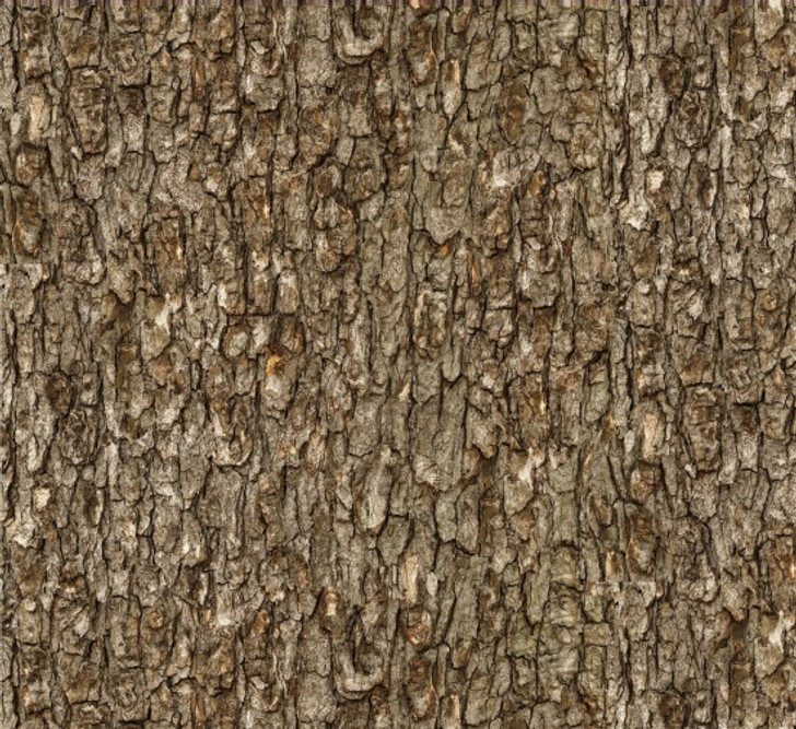 Elizabeth Studio - Landscape Medley - Tree Bark, Walnut
