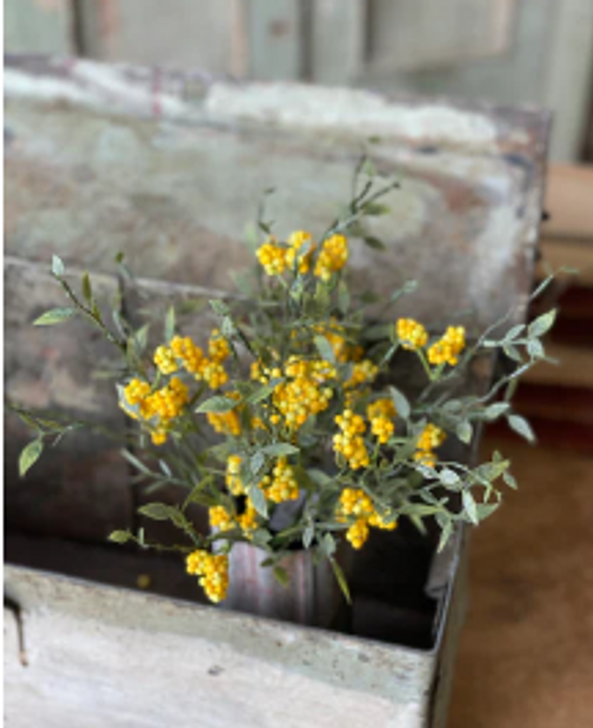 Bush - Savannah Buds 13", Yellow
