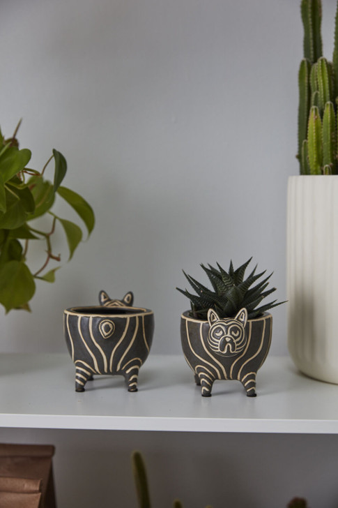 Puppy Love Planter, Frenchie