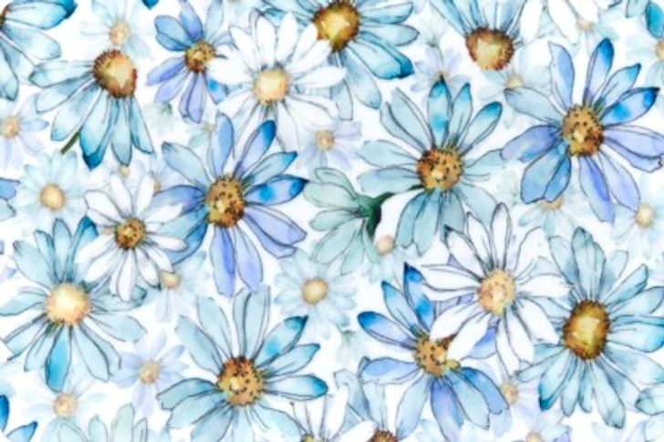 Shannon Fabrics - Cuddle Prints - Crazy 4 Daisies, Multi