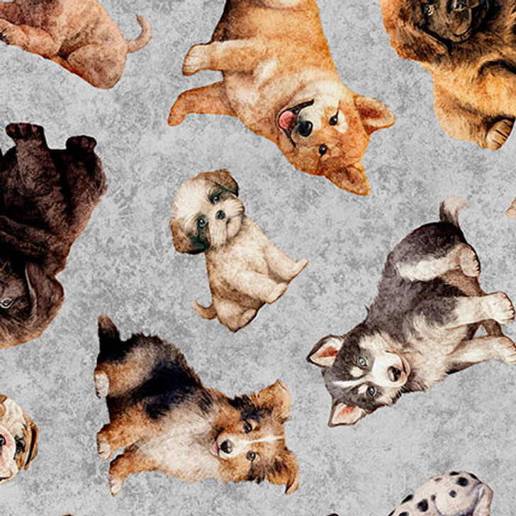 Quilting Treasures - QT Cuties 2 - Puppy Toss, Gray