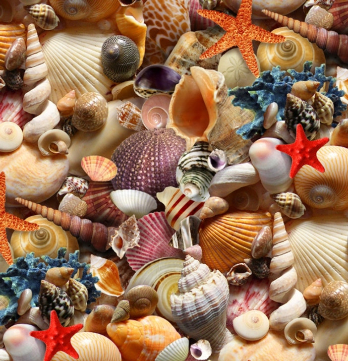 Elizabeth Studio - Landscape Medley - Seashells, Multi
