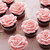2105-3281_3in1CakeCaddyProjects_326151_05.jpg|12
