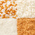 2201-7350_CNDA4cellWhiteGoldSprinkles_82254_product2.jpg|4