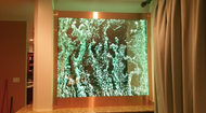 Bubble Wall Maintenance and Care 