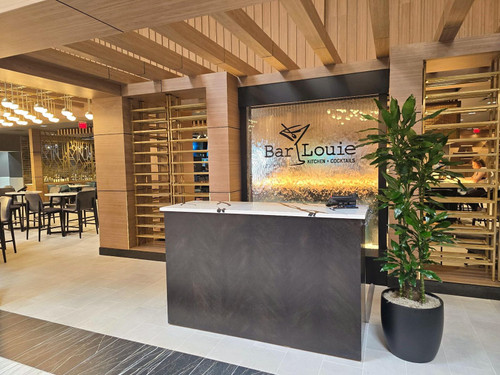 Bar Louie Glass and Stainless Water Wall