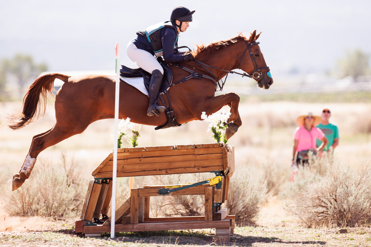 The Overlooked Impact of Respiratory Challenges in Jumping & Eventing