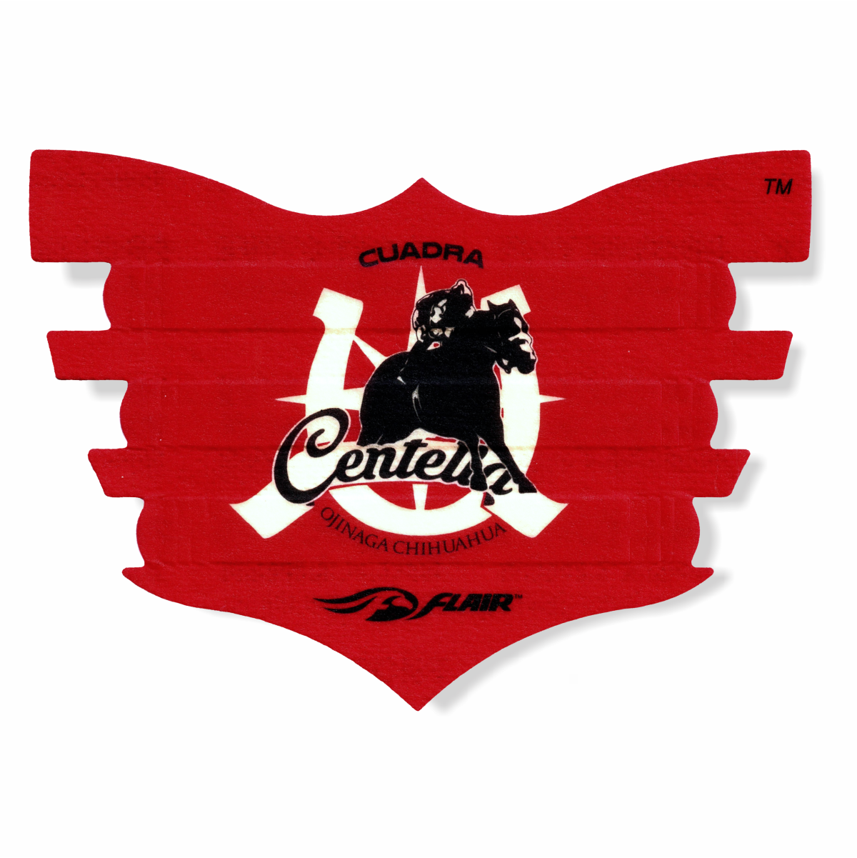 Liz Lund Eventing Custom FLAIR Strip