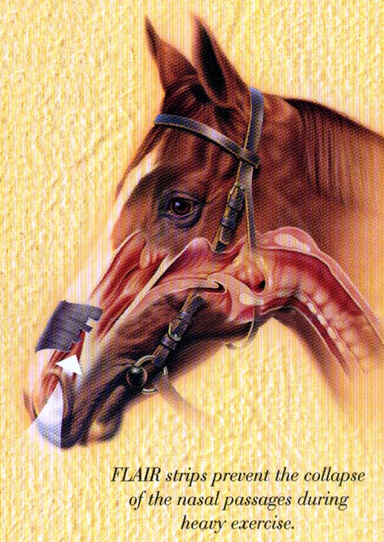 How do FLAIR® Equine Nasal Strips work? Achieve Equine, LLC FLAIR