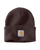Watch Beanie