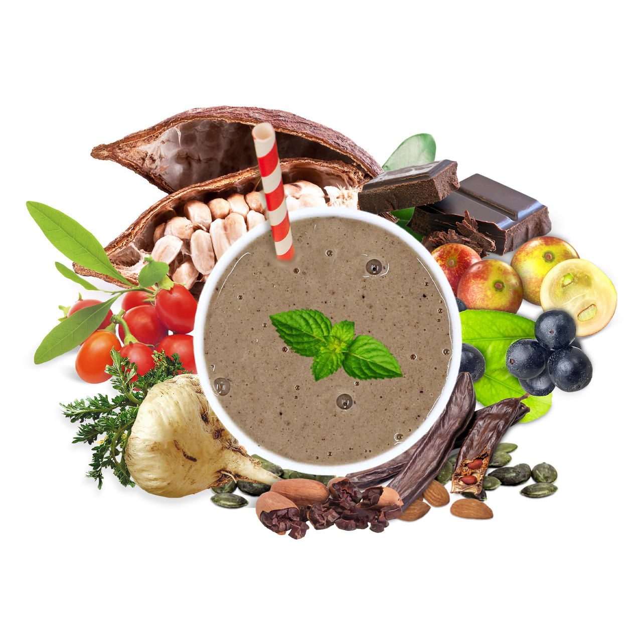 https://cdn11.bigcommerce.com/s-3df9we36a1/images/stencil/1280x1280/products/674/8774/2484_Chocolate_Smoothie_Mix_8oz_v6.0_Art__81316.1695942303.jpg?c=1