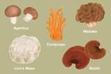 5 Functional Mushrooms We Love—and Why 5 Functional Mushrooms We Love—and Why
